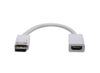 adattatore-spina-displayport-presa-hdmi