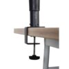 gator-gfwspkstmndskcmp-studio-monitor-stand-coppia